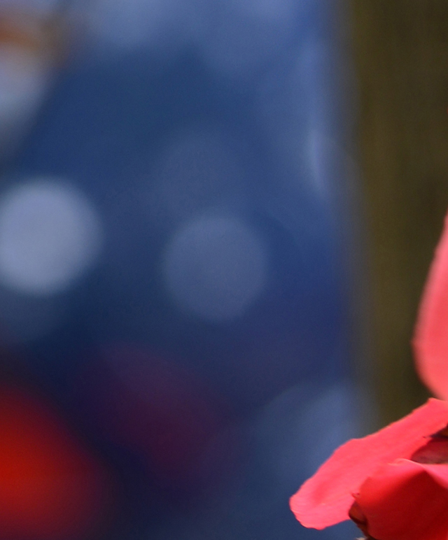 이지영 개인전 [이유는 없으면서 있다] 포스터